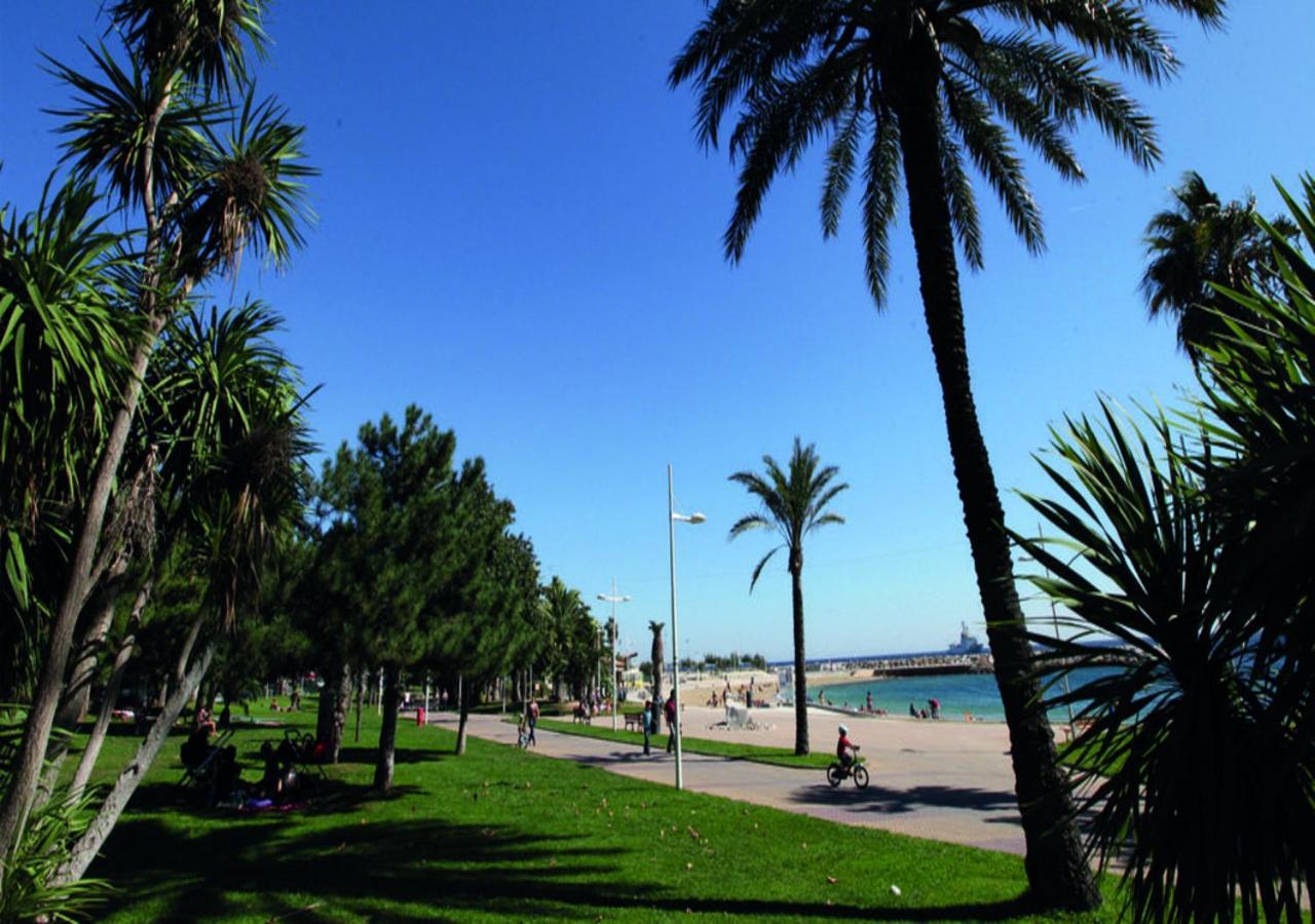 Canopee - Toulon Mourillon - 800M Des Plages Et Place De Parking Prive Экстерьер фото